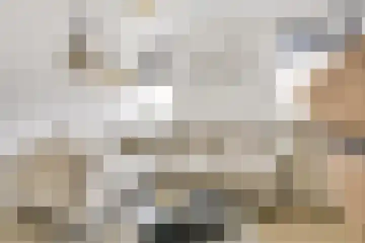 Weltevredenstraat 2 Utrecht thumbnail 11