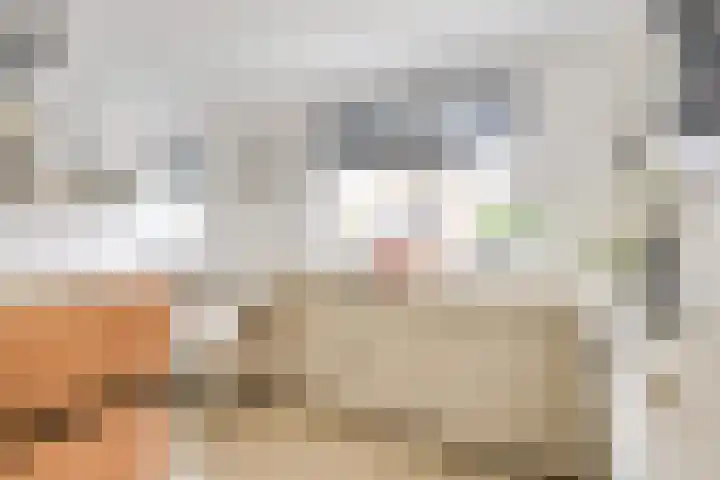 Weltevredenstraat 2 Utrecht thumbnail 8