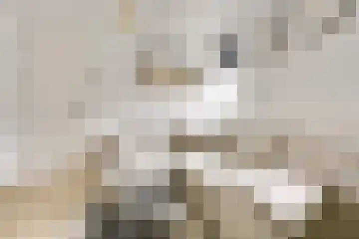 Weltevredenstraat 2 Utrecht thumbnail 9