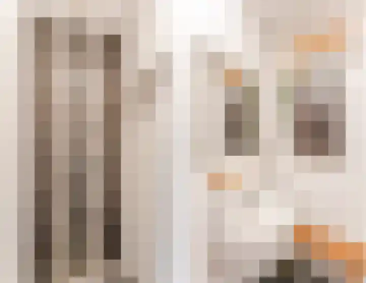 Weltevredenstraat 29 Utrecht thumbnail 33