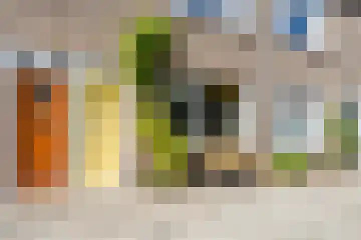 Weltevredenstraat 29 Utrecht thumbnail 4