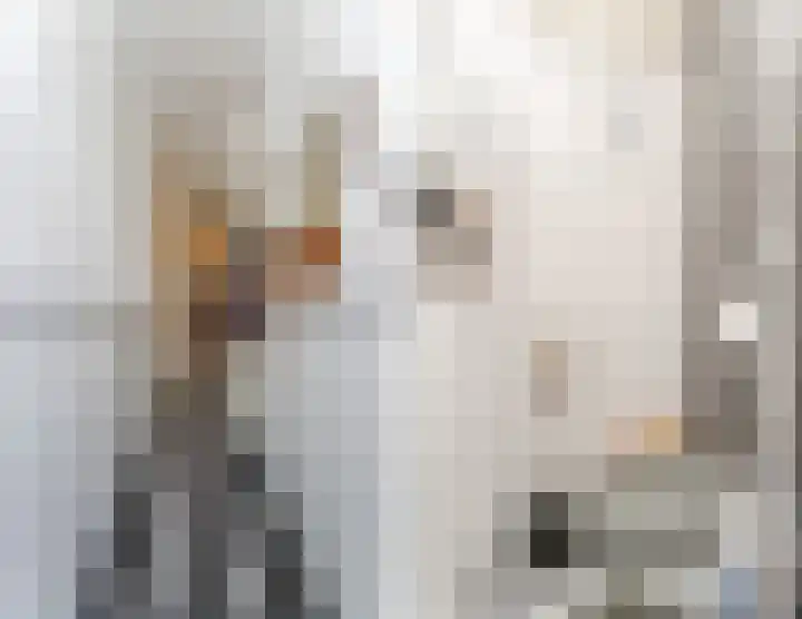 Weltevredenstraat 29 Utrecht thumbnail 5