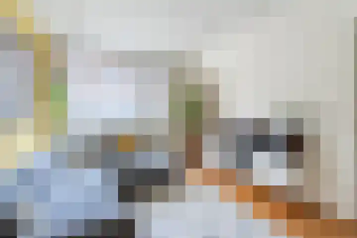 Weltevredenstraat 29 Utrecht thumbnail 8