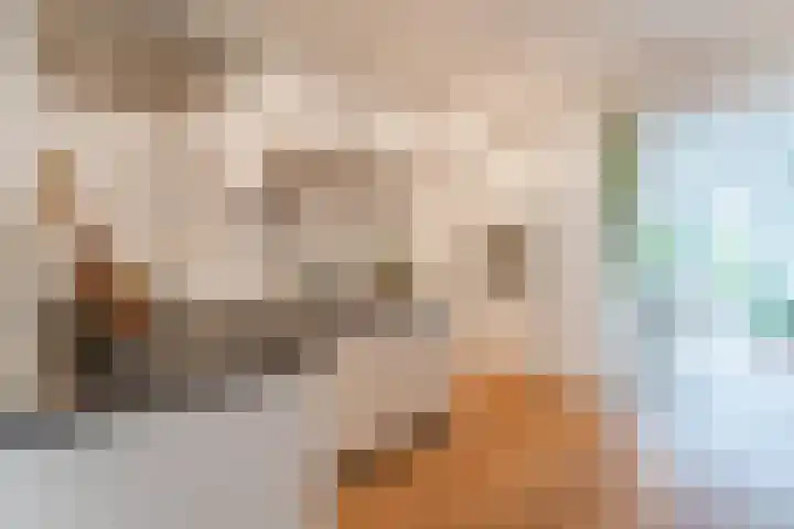 Weltevredenstraat 5 Utrecht thumbnail 10