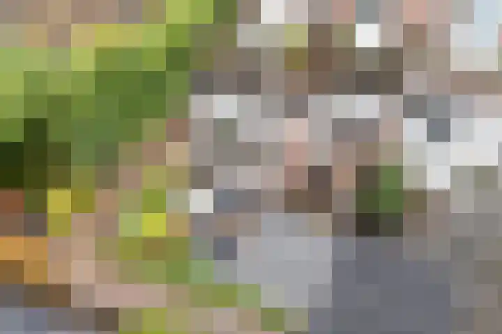 Weltevredenstraat 5 Utrecht thumbnail 20