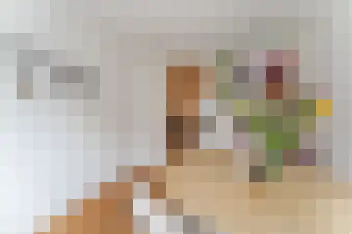 Weltevredenstraat 5 Utrecht thumbnail 23