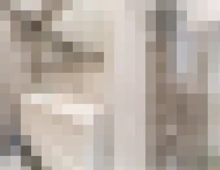 Weltevredenstraat 5 Utrecht thumbnail 32