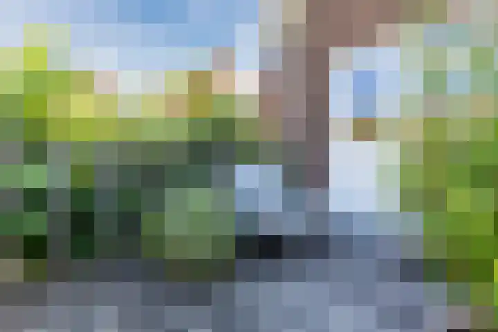 Weltevredenstraat 5 Utrecht thumbnail 36