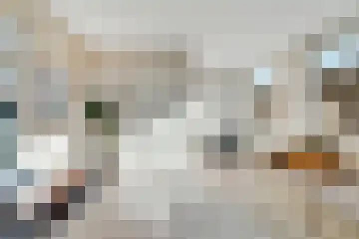 Weltevredenstraat 53 Utrecht thumbnail 4
