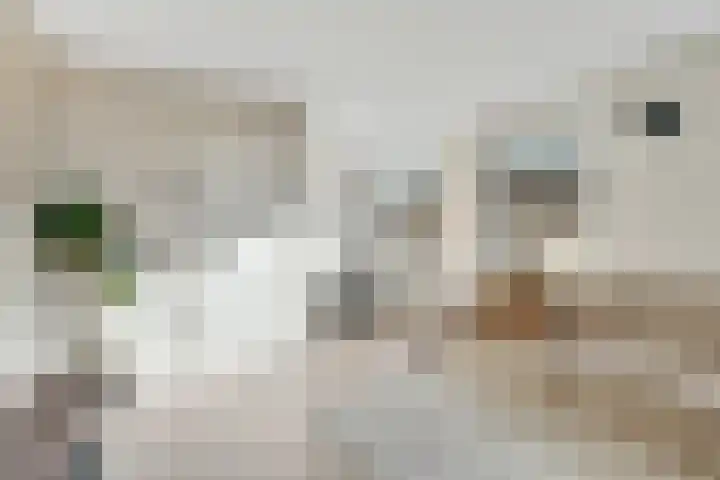 Weltevredenstraat 53 Utrecht thumbnail 6