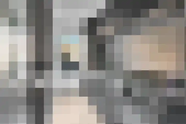 Weltevredenstraat 53 Utrecht thumbnail 9