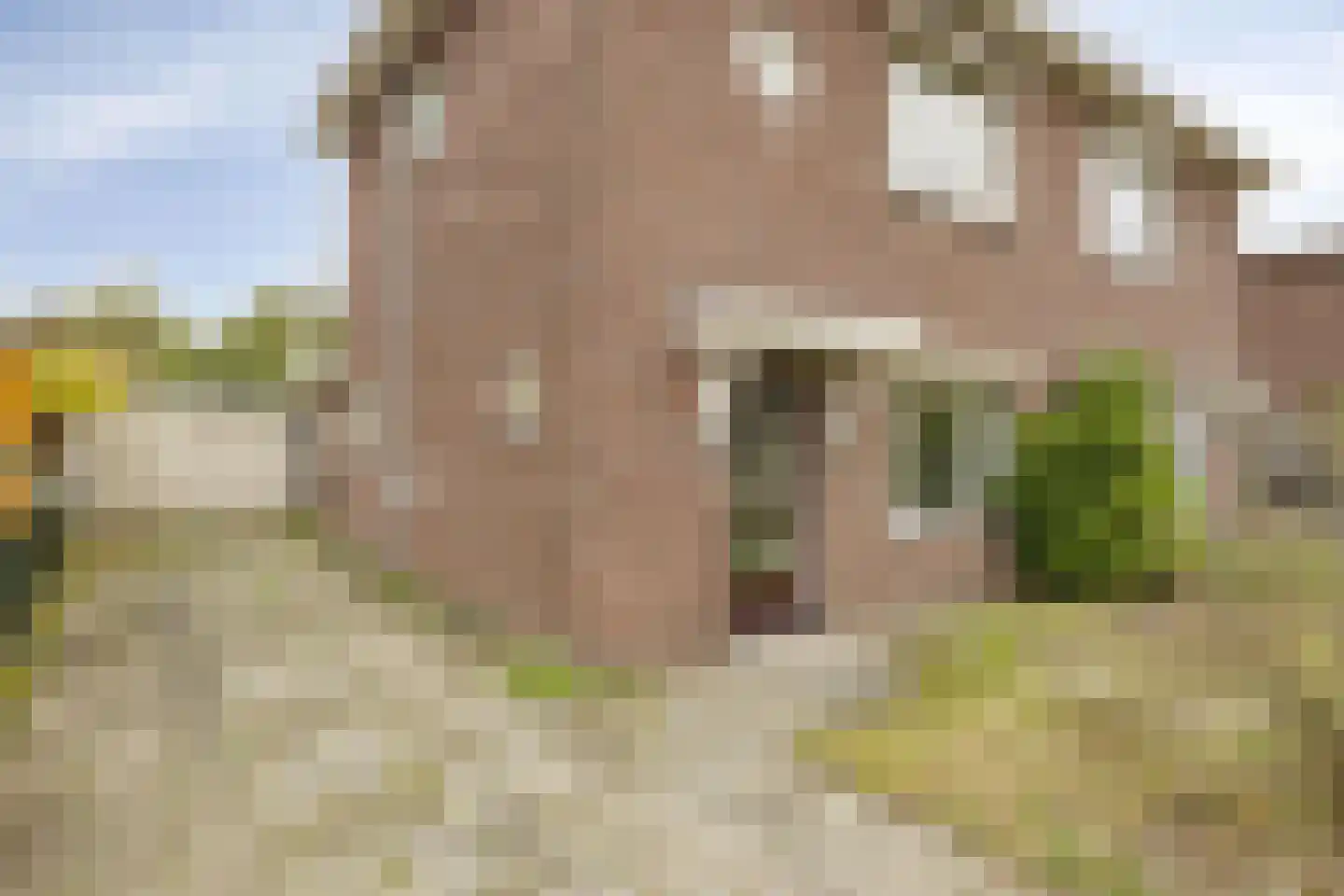 Welvaartstraat 6 Best thumbnail 42