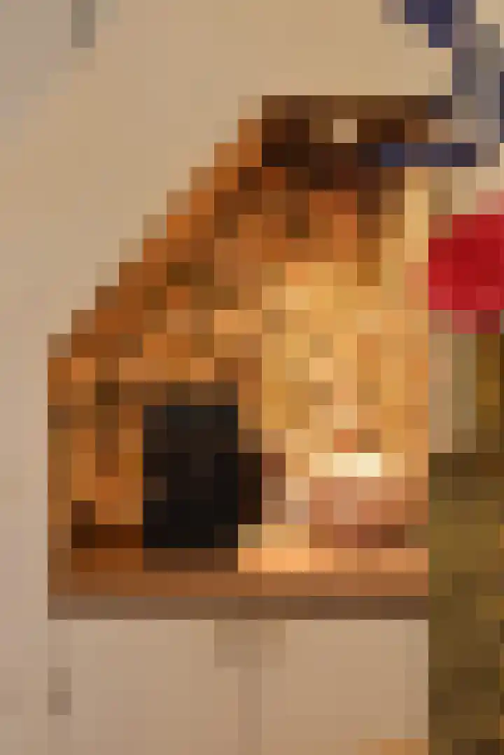 Welweg 3 Heel thumbnail 20