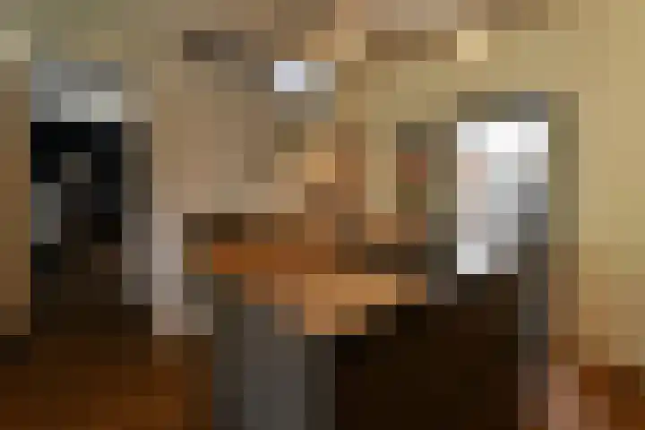 Welweg 3 Heel thumbnail 22