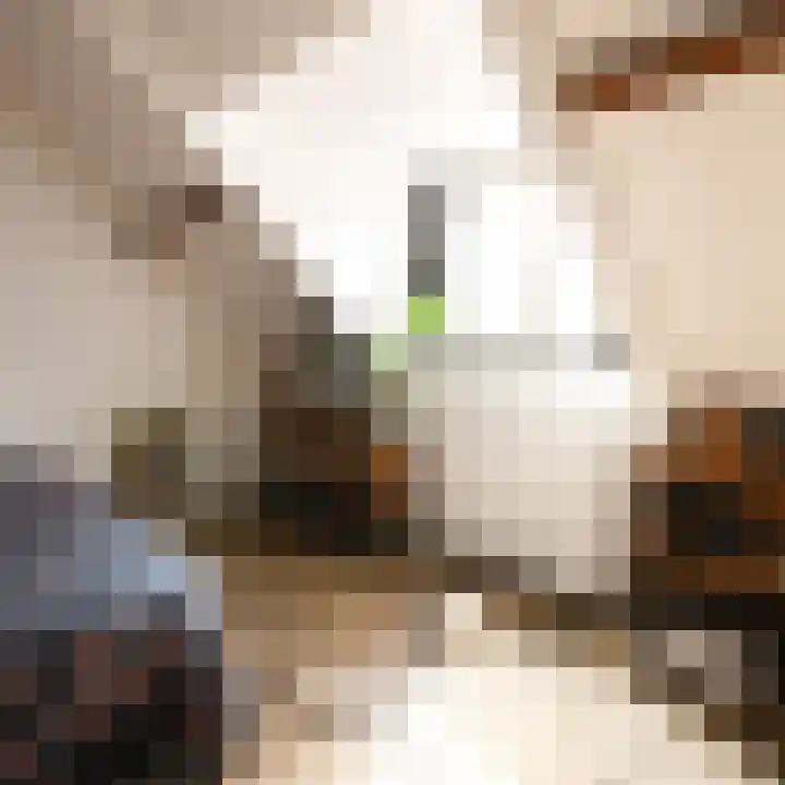 Welweg 3 Heel thumbnail 25