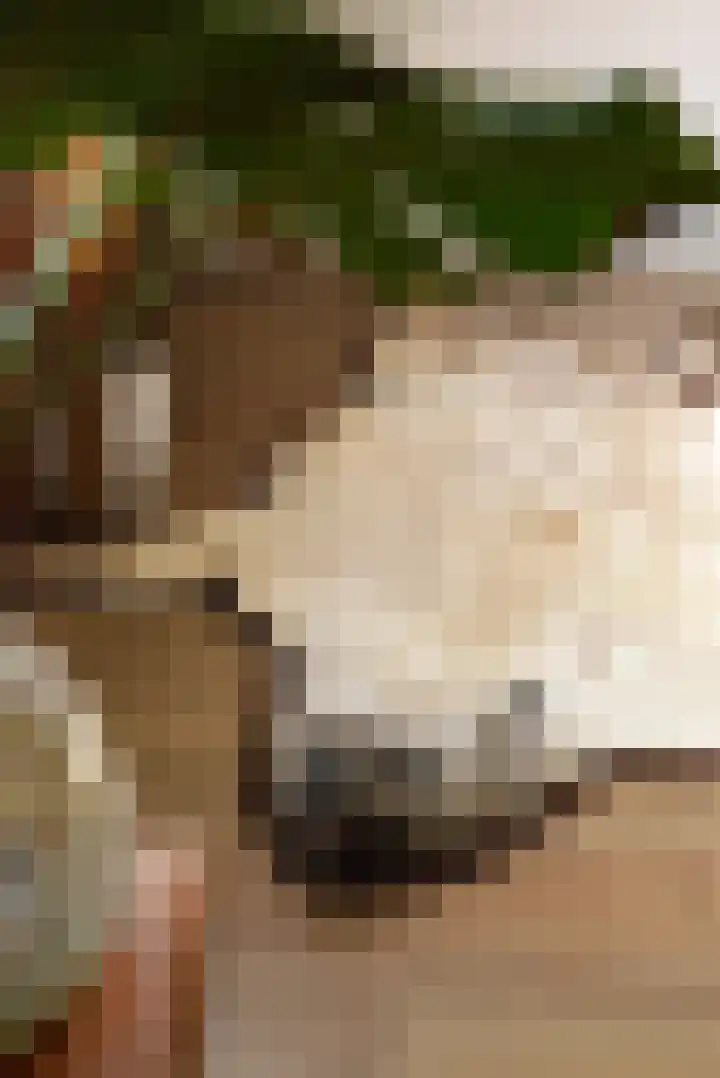 Welweg 3 Heel thumbnail 26