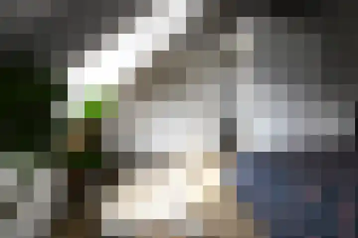 Welweg 3 Heel thumbnail 27