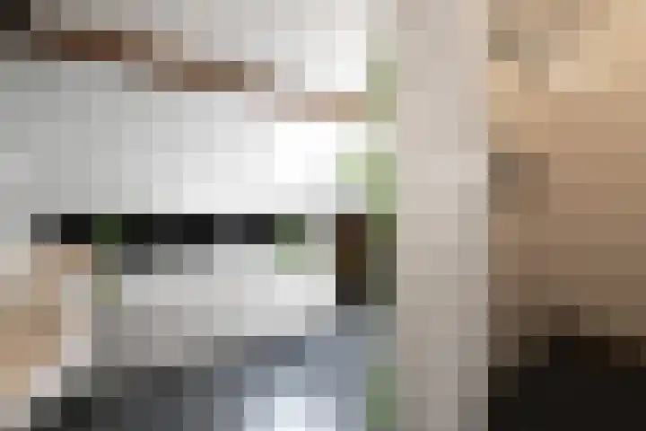 Welweg 3 Heel thumbnail 31