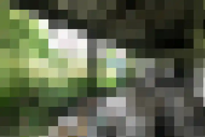 Welweg 3 Heel thumbnail 32