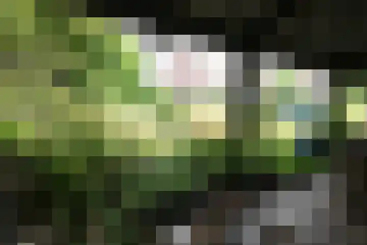 Welweg 3 Heel thumbnail 33