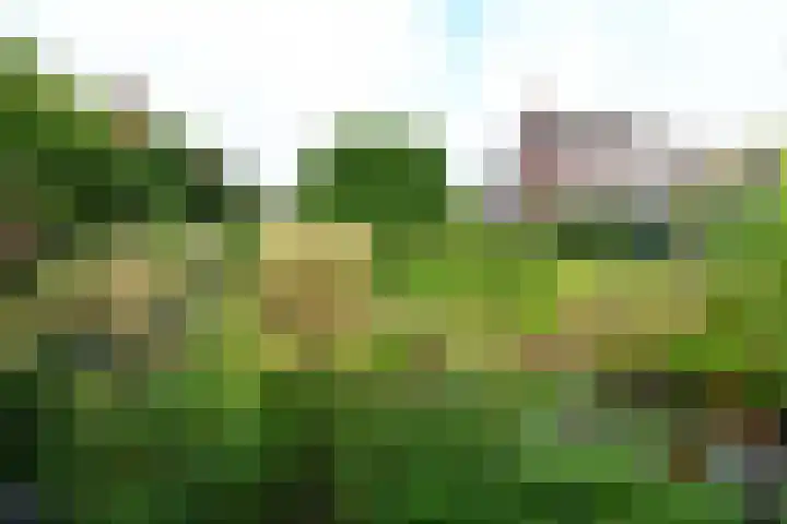 Welweg 3 Heel thumbnail 34