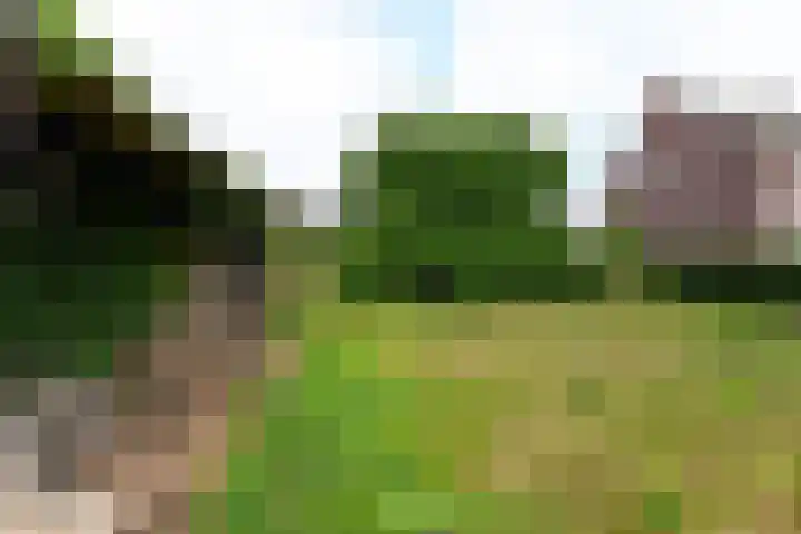 Welweg 3 Heel thumbnail 35