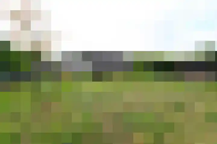 Welweg 3 Heel thumbnail 36