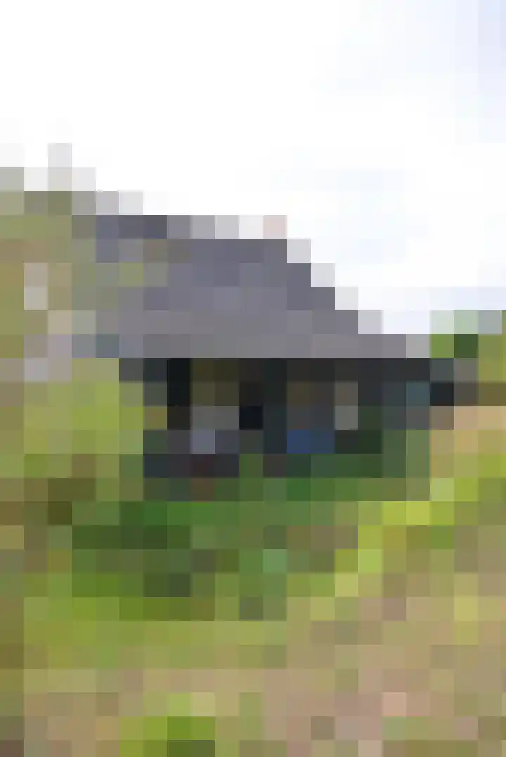 Welweg 3 Heel thumbnail 37