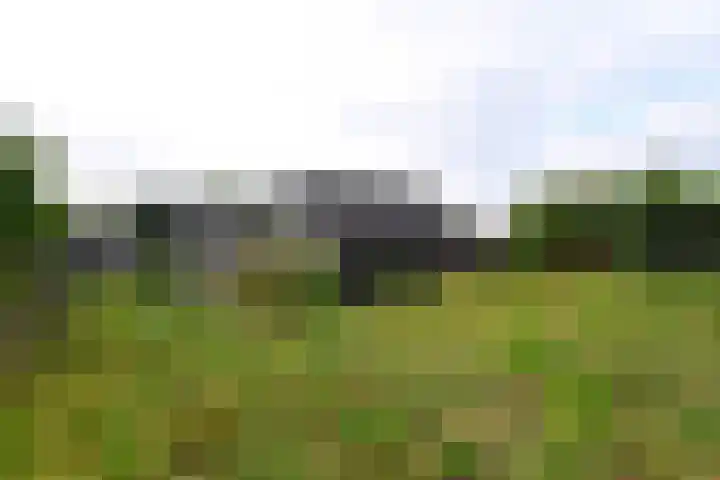 Welweg 3 Heel thumbnail 38