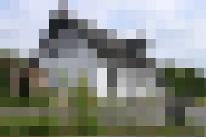 Welweg 3 Heel thumbnail 42