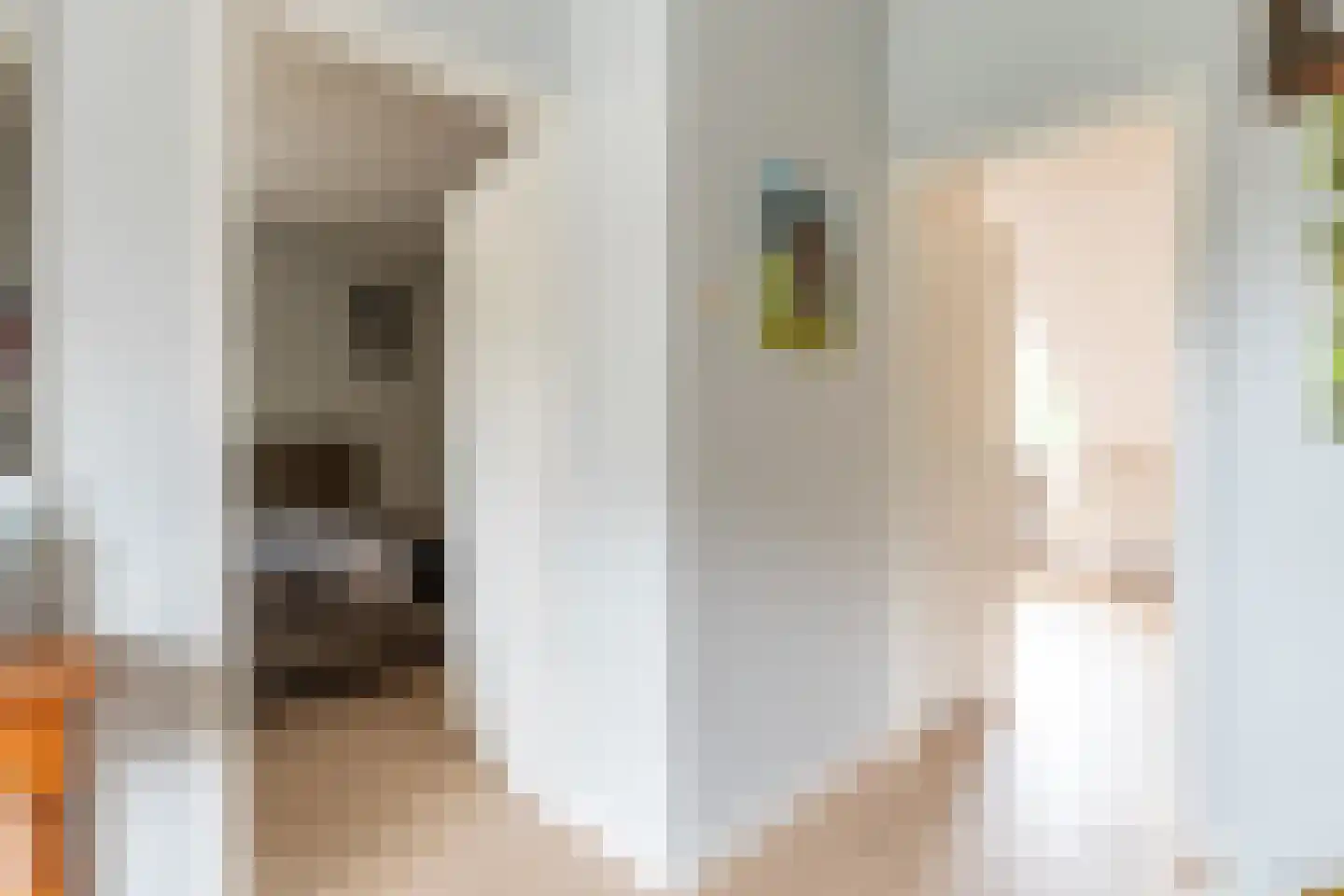 Weme 13 Ermelo thumbnail 31