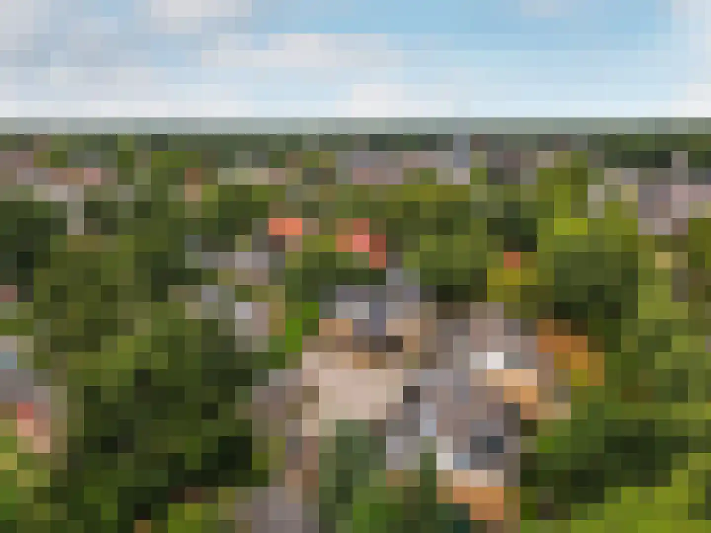 Weme 13 Ermelo thumbnail 60