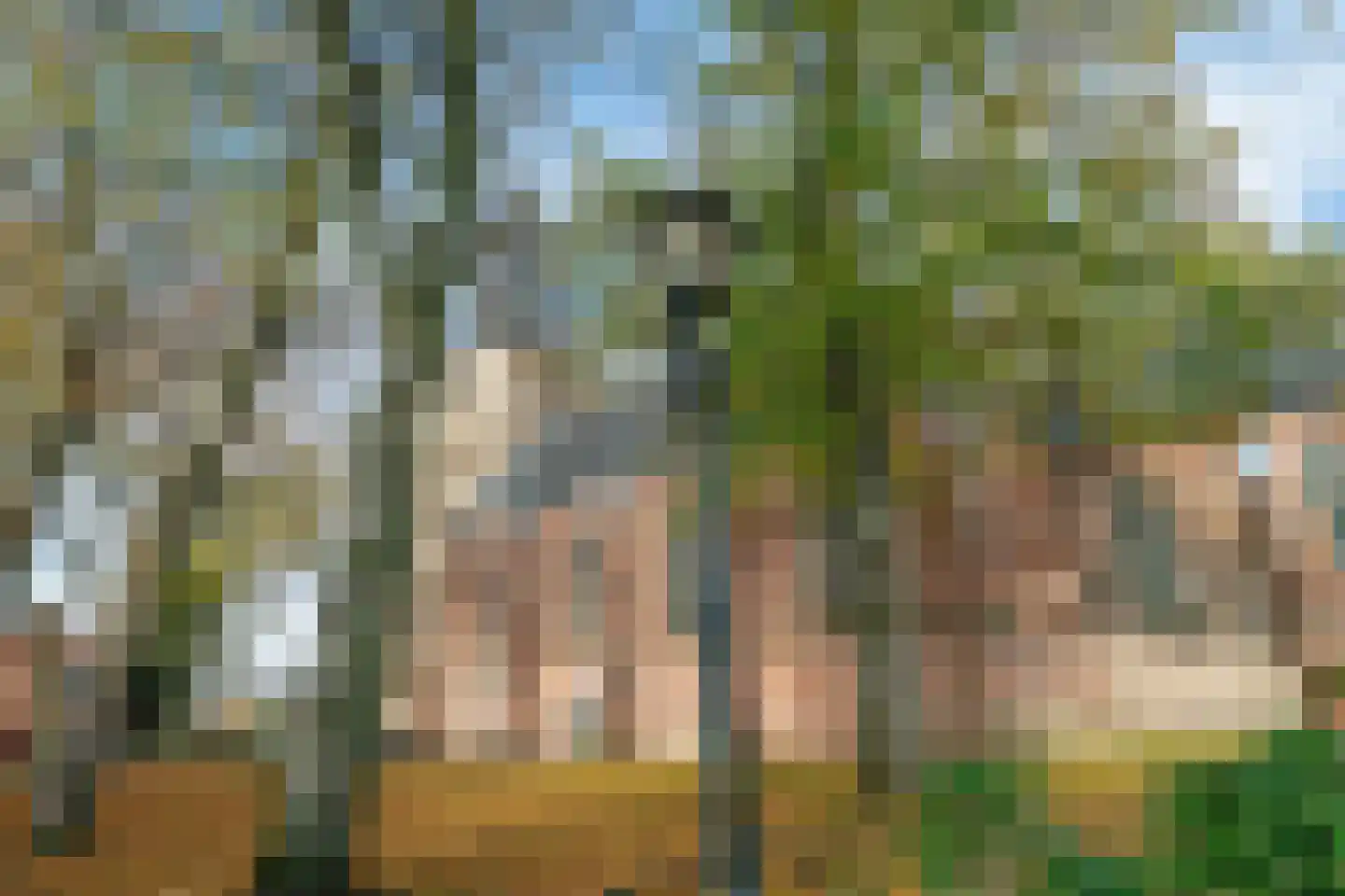 Weme 21 Ermelo thumbnail 38