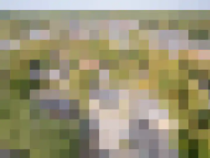Weme 3 Ermelo thumbnail 10
