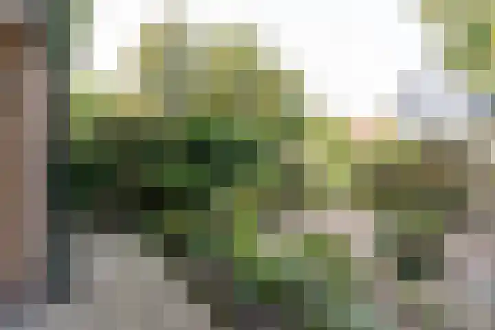 Weme 3 Ermelo thumbnail 4