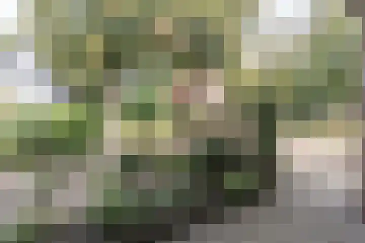 Weme 3 Ermelo thumbnail 5