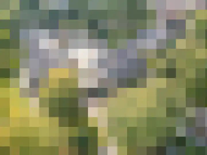 Weme 3 Ermelo thumbnail 8