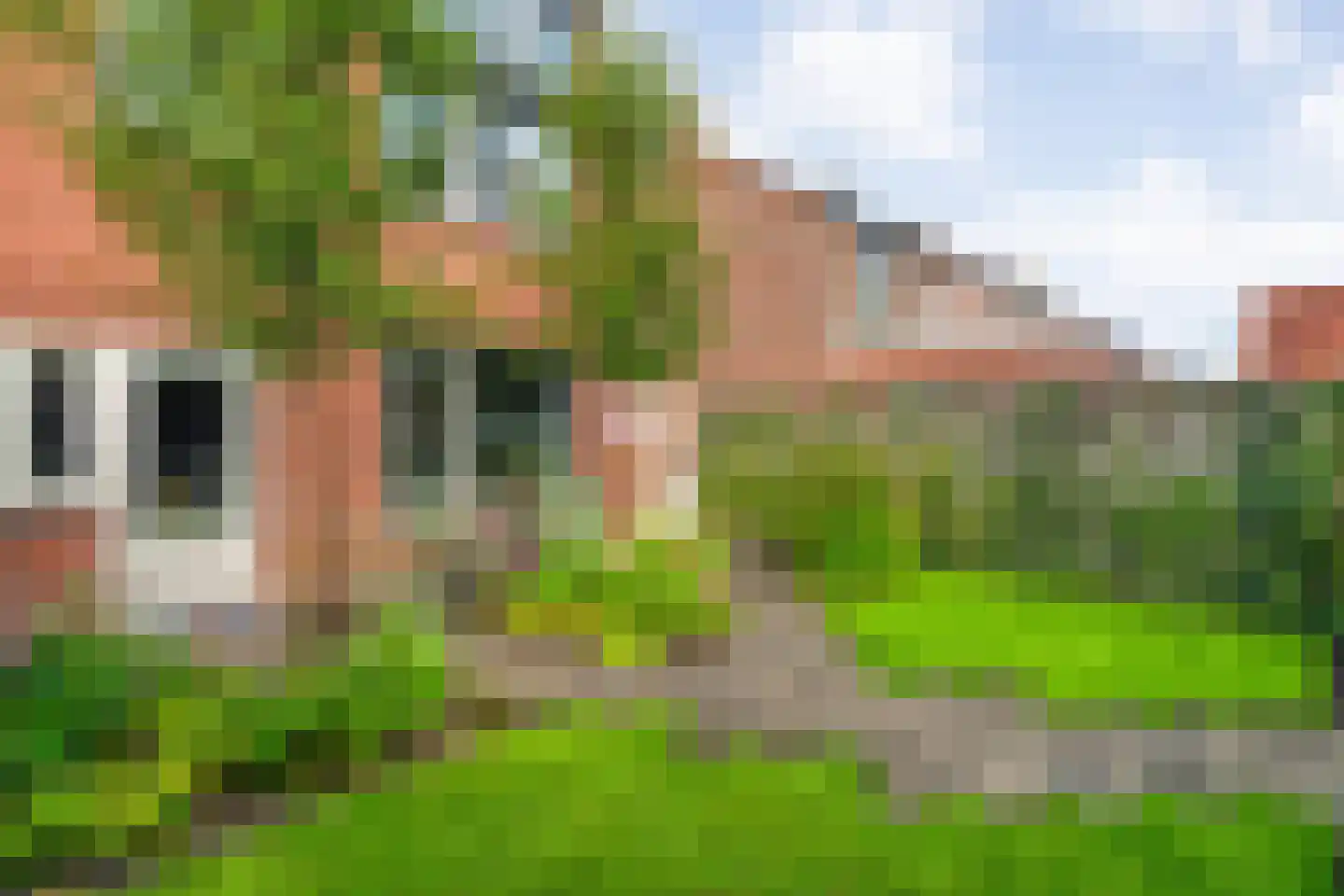 Wemekampstraat 69 Hellendoorn thumbnail 28