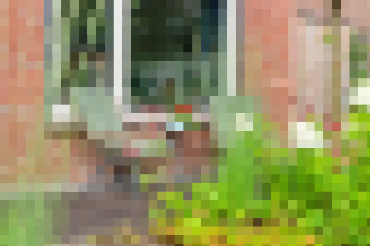 Wemekampstraat 69 Hellendoorn thumbnail 29