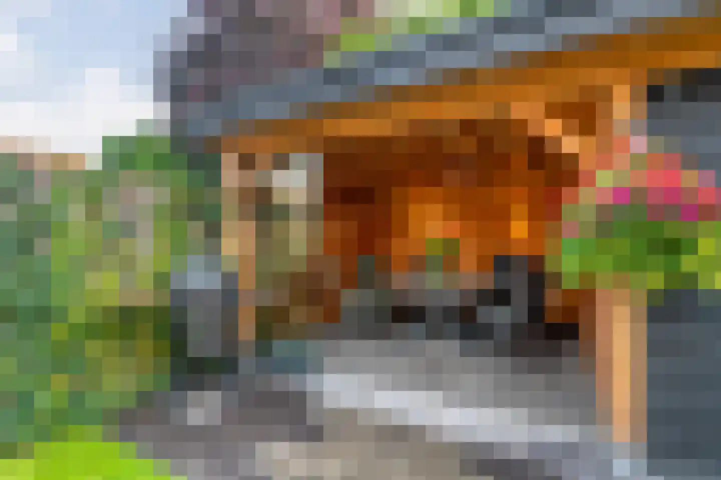 Wemekampstraat 69 Hellendoorn thumbnail 32