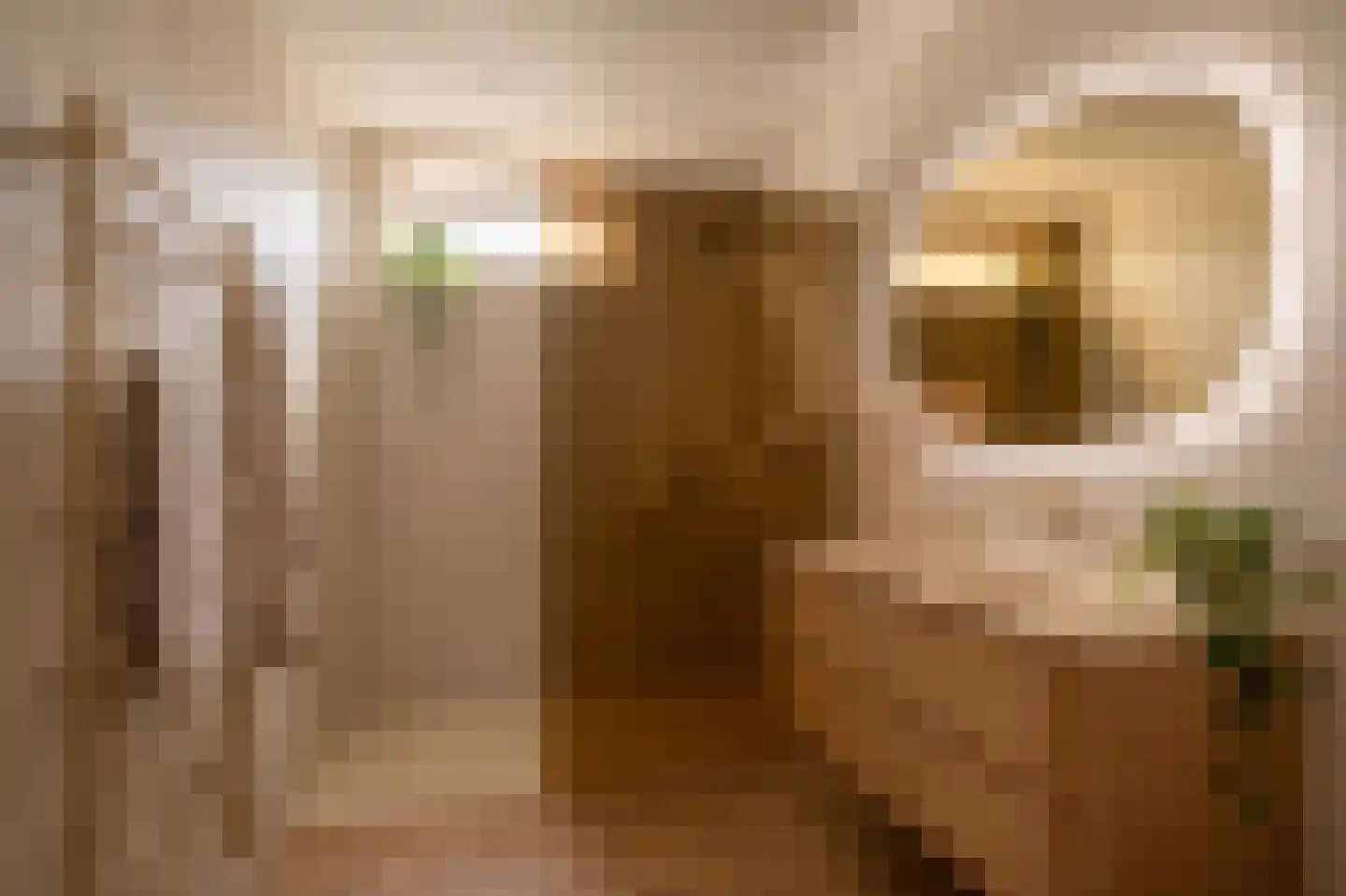 Wemeldingestraat 51 Rotterdam thumbnail 47