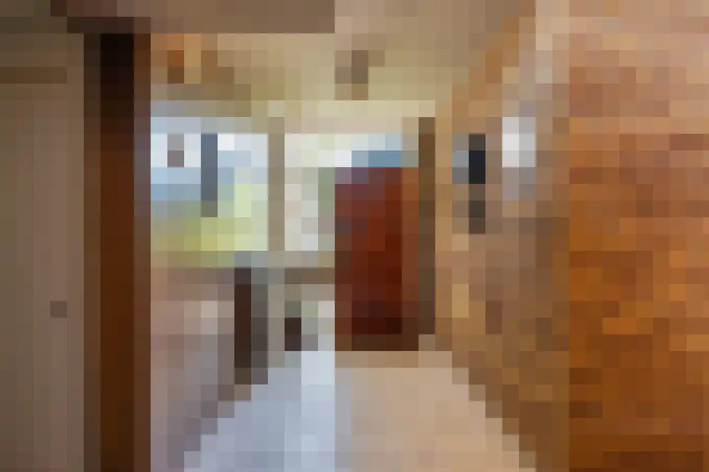 Wemeldingestraat 51 Rotterdam thumbnail 58