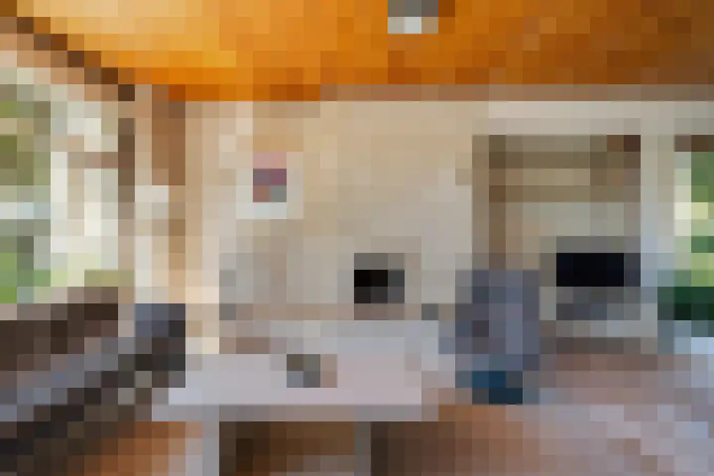 Wemeldingestraat 51 Rotterdam thumbnail 7