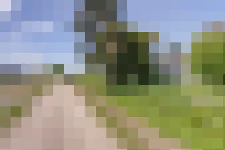 Wemeldingse Zandweg 11 Kapelle thumbnail 25