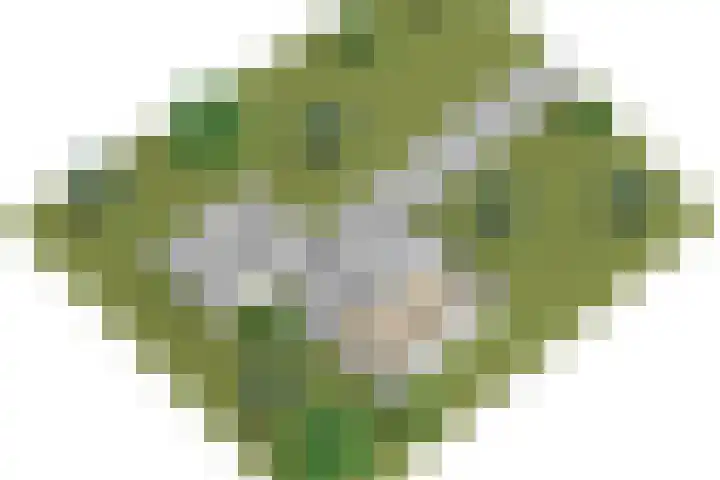 Wemeldingse Zandweg 11 Kapelle thumbnail 33