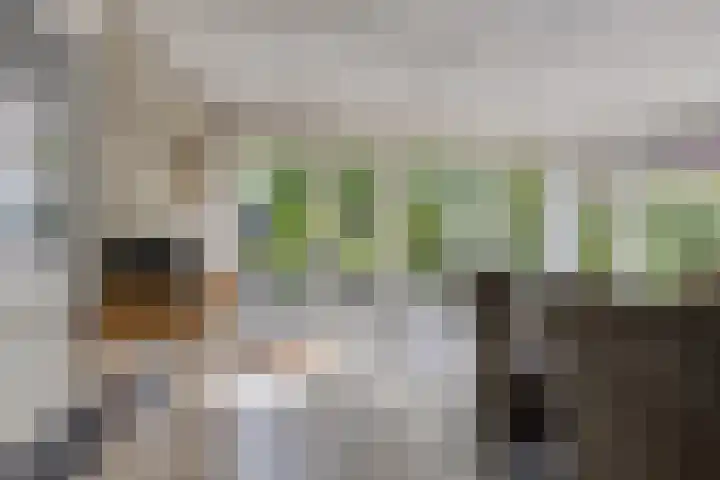 Wemeweg 19 A Makkinga thumbnail 17