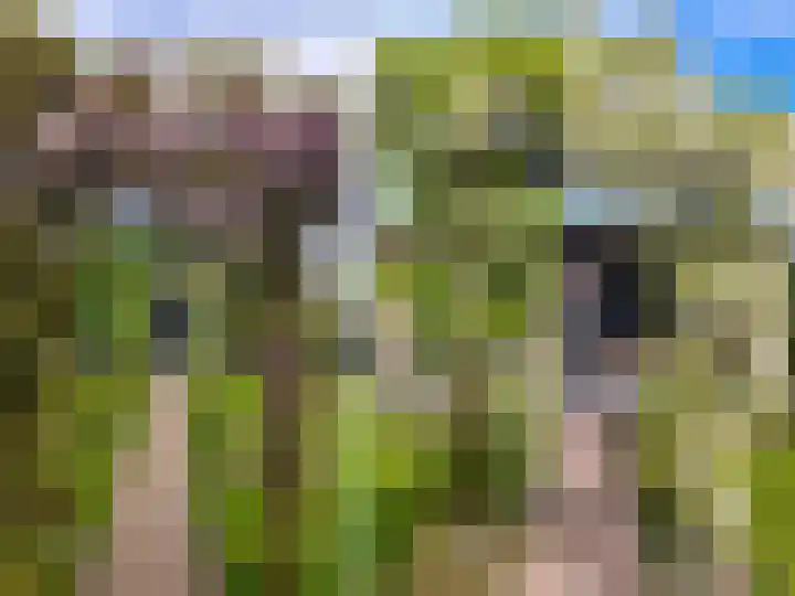 Wemeweg 19 A Makkinga thumbnail 4