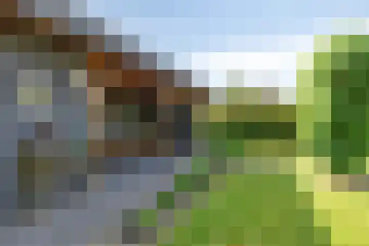 Wemeweg 19 A Makkinga thumbnail 5