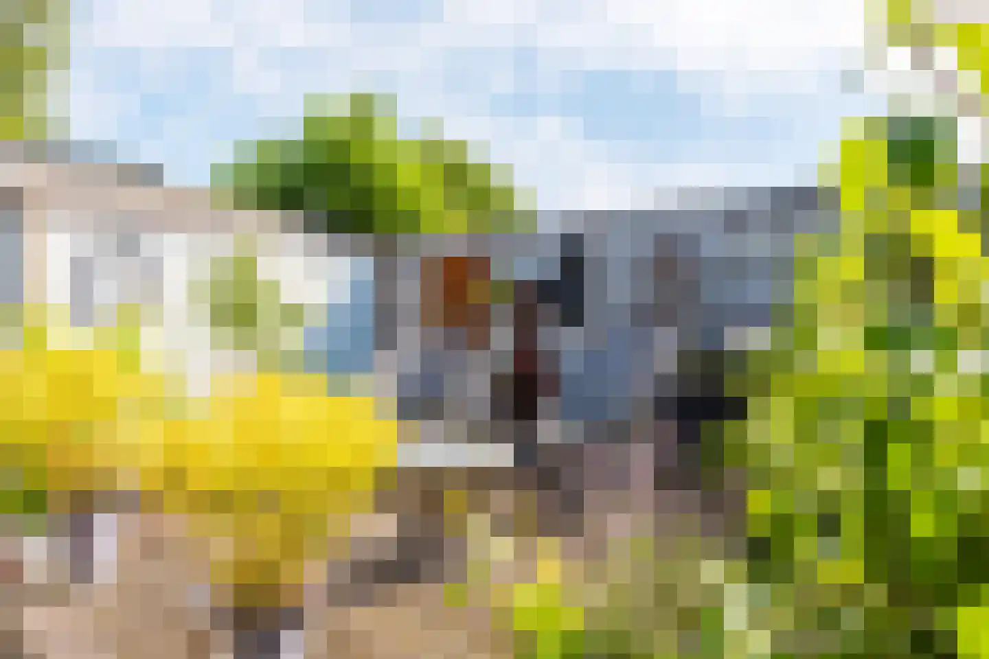 Wemeweg 19 B Makkinga thumbnail 17