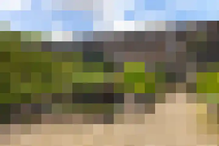 Wemmingen 17 Nieuw-Vennep thumbnail 36